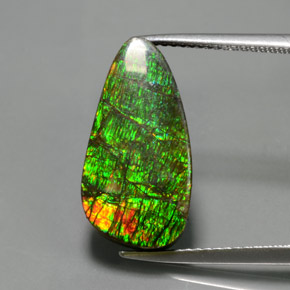 amolita Multicolor natural de 7.57 ct, Forma elegante, Opaco