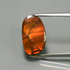 amolita Multicolor natural de 5.02 ct, Forma elegante, Opaco