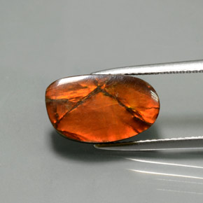 amolita Multicolor natural de 5.02 ct, Forma elegante, Opaco