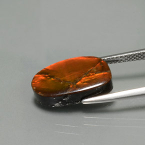 amolita Multicolor natural de 5.02 ct, Forma elegante, Opaco