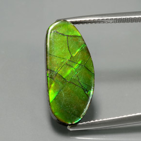 Ammolita multicolor natural de 6,87 ct, forma elegante, opaco