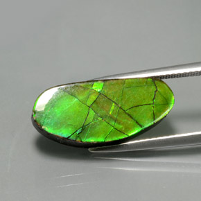 Ammolita multicolor natural de 6,87 ct, forma elegante, opaco