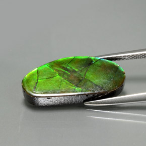 Ammolita multicolor natural de 6,87 ct, forma elegante, opaco