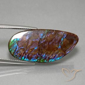 amolita Multicolor natural de 19.21 ct, Elegante, Opaco