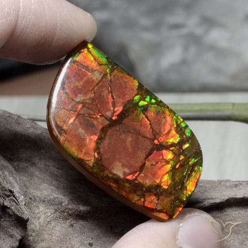 26.89ct Natural Multicolor amolita, Elegante, Opaco