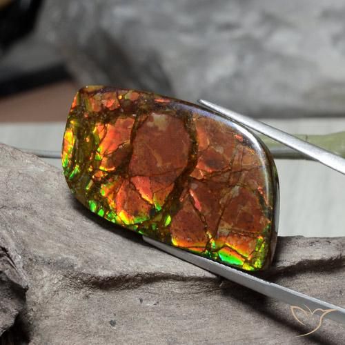 amolita Multicolor natural de 26.89 ct, Elegante, Opaco