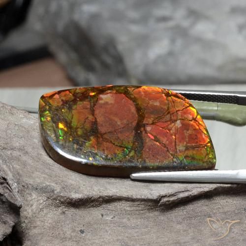 amolita Multicolor natural de 26.89 ct, Elegante, Opaco