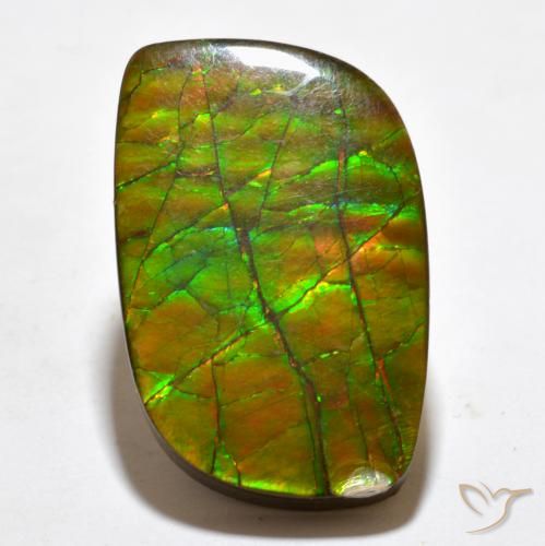 19.27ct Natural Multicolor amolita, Elegante, Opaco