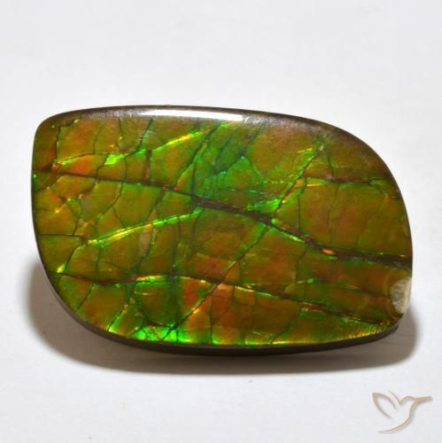 amolita Multicolor natural de 19.27 ct, Elegante, Opaco