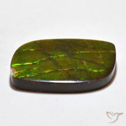 amolita Multicolor natural de 19.27 ct, Elegante, Opaco