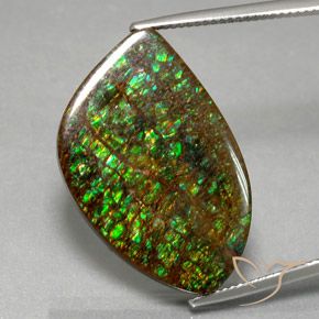 21.29ct Natural Multicolor amolita, Elegante, Opaco