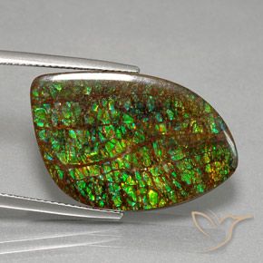 amolita Multicolor natural de 21.29 ct, Elegante, Opaco