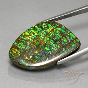 amolita Multicolor natural de 21.29 ct, Elegante, Opaco