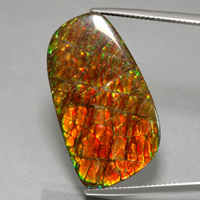 Ammolita multicolor natural de 30,98 ct, forma elegante, opaco