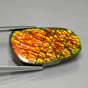 Ammolita multicolor natural de 30,98 ct, forma elegante, opaco