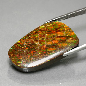 Ammolita multicolor natural de 30,98 ct, forma elegante, opaco