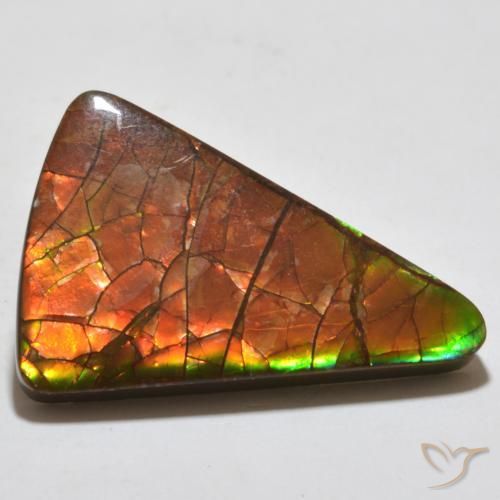amolita Multicolor natural de 20.44 ct, Trillón, Opaco