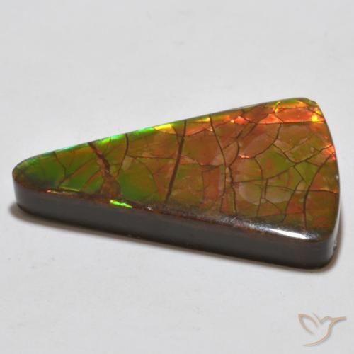 amolita Multicolor natural de 20.44 ct, Trillón, Opaco
