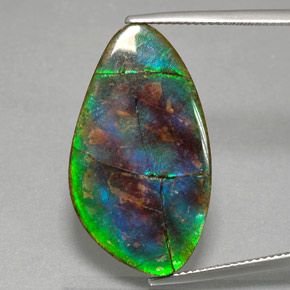 Ammolita multicolor natural de 18,18 ct, forma elegante, opaco