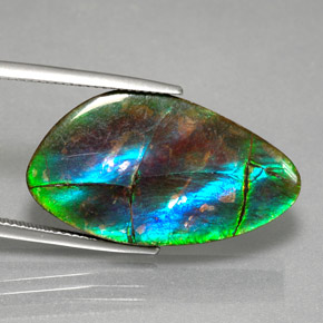 Ammolita multicolor natural de 18,18 ct, forma elegante, opaco