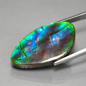 Ammolita multicolor natural de 18,18 ct, forma elegante, opaco