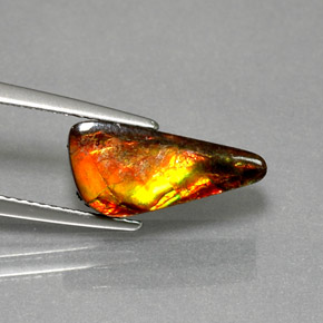 Ammolita multicolor natural de 3,13 ct, forma elegante, opaco