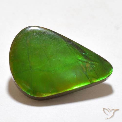 amolita Multicolor natural de 7.77 ct, Elegante, Opaco