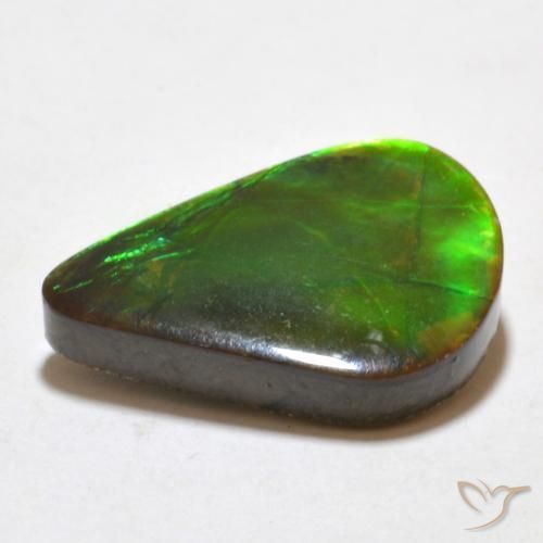 amolita Multicolor natural de 7.77 ct, Elegante, Opaco
