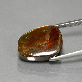 Ammolita multicolor natural de 7,76 ct, forma elegante, opaco