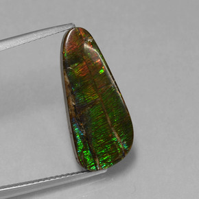amolita Multicolor natural de 7.96 ct, Forma elegante, Opaco