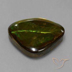 amolita Multicolor natural de 14.70 ct, Elegante, Opaco