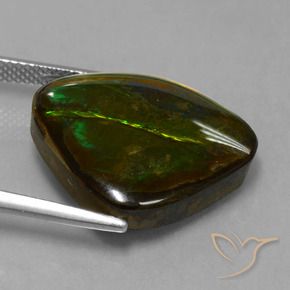 amolita Multicolor natural de 14.70 ct, Elegante, Opaco