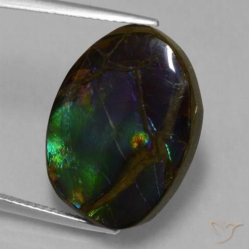 13.58ct Natural Multicolor amolita, Elegante, Opaco