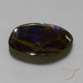 amolita Multicolor natural de 13.58 ct, Elegante, Opaco