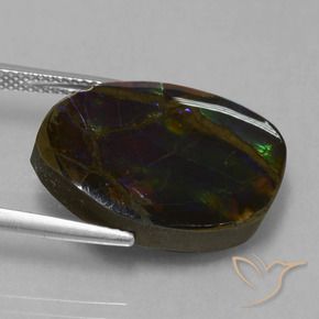amolita Multicolor natural de 13.58 ct, Elegante, Opaco