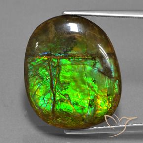 amolita Multicolor natural de 16.29 ct, Elegante, Opaco