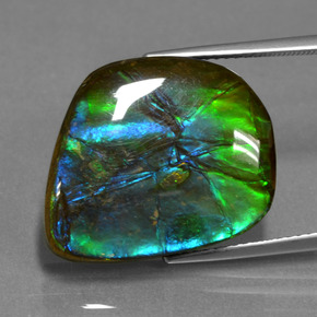 Ammolita multicolor natural de 15,30 ct, forma elegante, opaco