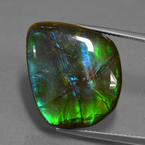 Ammolita multicolor natural de 15,30 ct, forma elegante, opaco