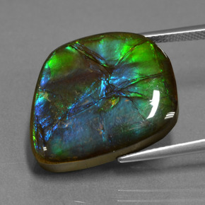 Ammolita multicolor natural de 15,30 ct, forma elegante, opaco