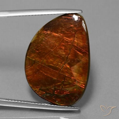 18.53ct Natural Multicolor amolita, Elegante, Opaco