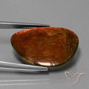 amolita Multicolor natural de 18.53 ct, Elegante, Opaco