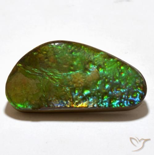 amolita Multicolor natural de 16.81 ct, Elegante, Opaco