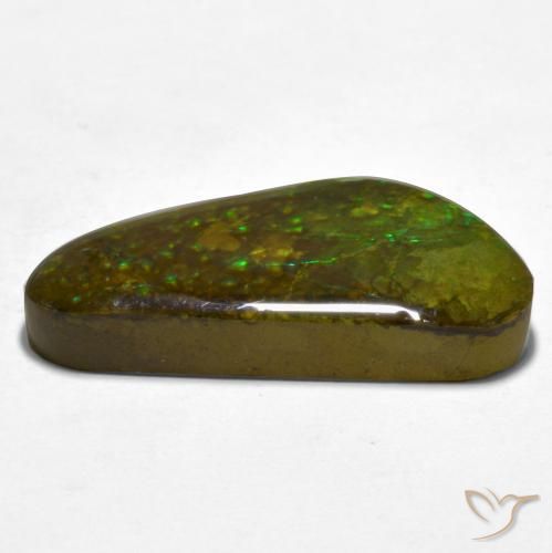 amolita Multicolor natural de 16.81 ct, Elegante, Opaco