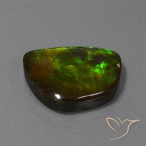 amolita Multicolor natural de 17.11 ct, Elegante, Opaco