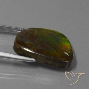 amolita Multicolor natural de 17.11 ct, Elegante, Opaco