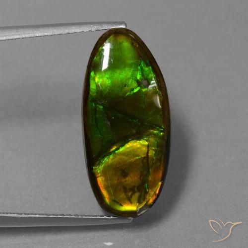 10.85ct Natural Multicolor amolita, Elegante, Opaco