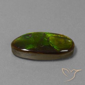 amolita Multicolor natural de 10.85 ct, Elegante, Opaco
