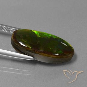amolita Multicolor natural de 10.85 ct, Elegante, Opaco