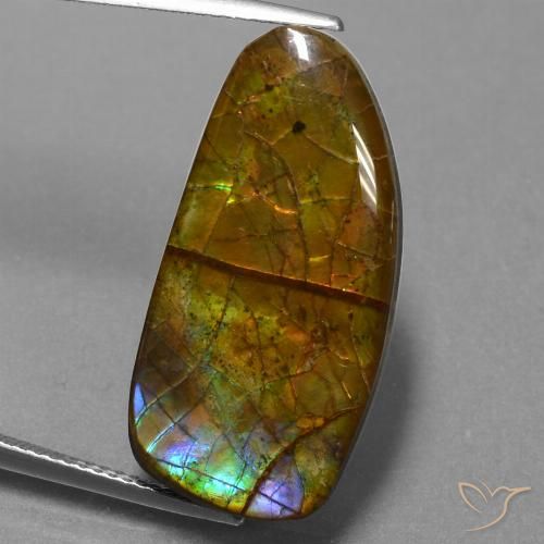 13.89ct Natural Multicolor amolita, Elegante, Opaco