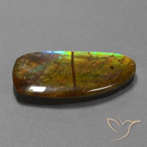 amolita Multicolor natural de 13.89 ct, Elegante, Opaco